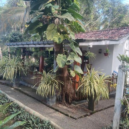 Lovers Green Villa Matara Zewnętrze zdjęcie