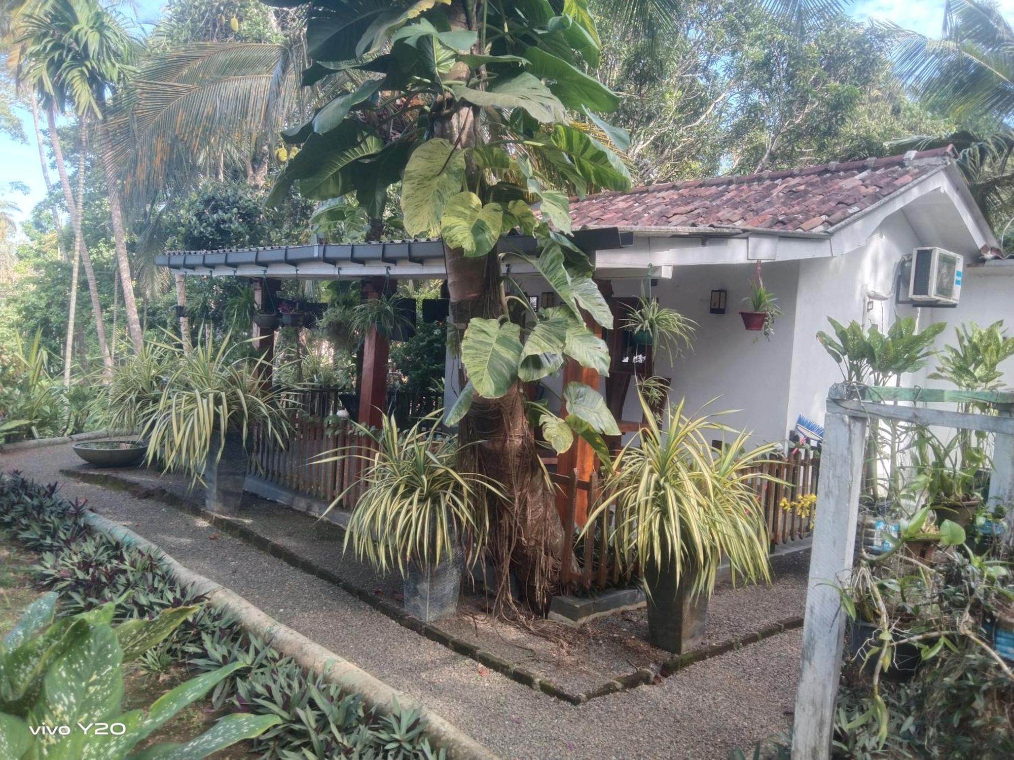 Lovers Green Villa Matara Zewnętrze zdjęcie